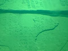 -白鹤梁水下博物馆