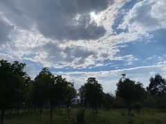 -云南野生动物园