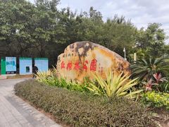 -大亚湾红树林城市湿地公园