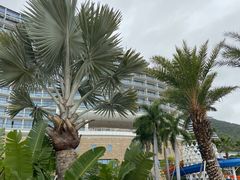 -深圳大梅沙京基洲际度假酒店