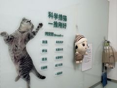 -宠福鑫康馨动物医院·骨科·眼科