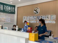 -瑞派雷欧宠物医院·24h夜诊·心脏骨科牙科·全科重症转诊中心(无影山店)