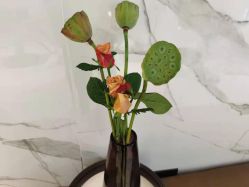 -罗亚帝造型·烫发染发