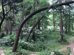 -东湖落雁景区
