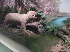 -湖南省地质博物馆