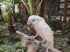 -南宫五洲植物乐园