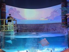 -沈阳海洋探索中心