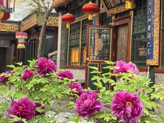 -白家大院·王府宫廷菜(苏州街店)