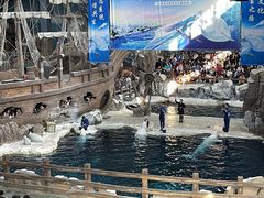 -杭州长乔极地海洋公园