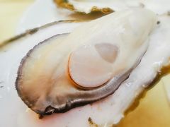 桑拿蠔-天宝食坊·啫啫煲大排档(西华路店)