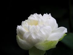 -黄兴公园