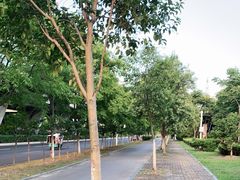-九里河湿地公园