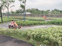 -季高兔窝窝亲子园(上海薰衣草公园店)