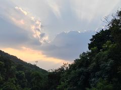 -云溪植物园