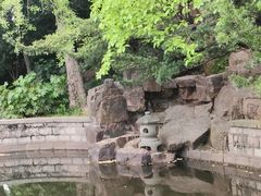 -嘉定紫藤园