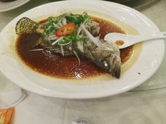 清蒸鱼-清心鸡沙田乳鸽店·非遗传承(石溪店)