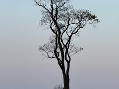 -东钱湖旅游度假区