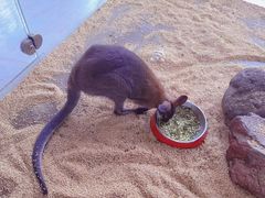 -海合安武汉极地海洋公园