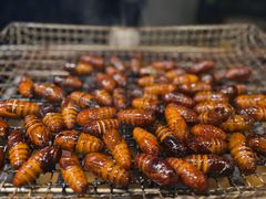 -星河湾温泉洗浴酒店