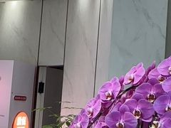 -登特口腔医院(鼓楼东街口店)