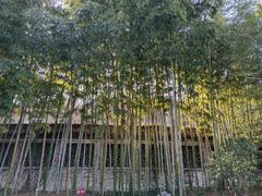-何园