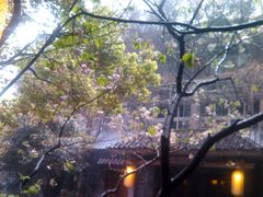 android_upload_pic-竹吟山房