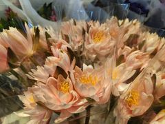 -循礼门鲜花花市(武汉循礼门店)