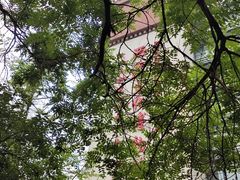 -西藏文化博物馆