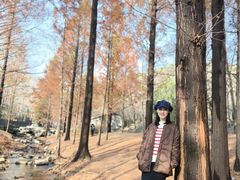-白水寺森林公园