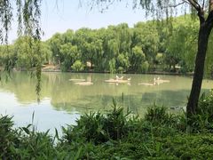 -达活泉公园