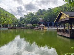 -西双版纳原始森林公园