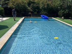 -汪说喵讲宠物乐园宠物酒店(红星美凯龙店)