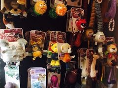 -百好乐宠物友好餐厅(朝外大街店)