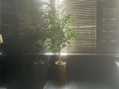 -华夏良子·足道·SPA·艾灸(金皇大厦店)