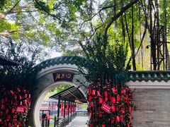 -侨美·唐荔园·40年地道粤菜