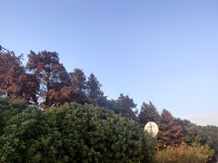 -贡湖湾湿地公园