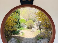 -横山寺