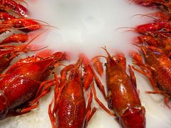 -沪小胖小龙虾(淮海中路旗舰店)