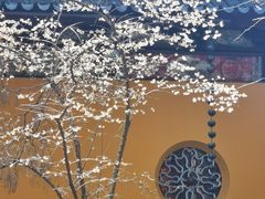 -西园戒幢律寺