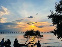 -宝安西湾红树林湿地公园