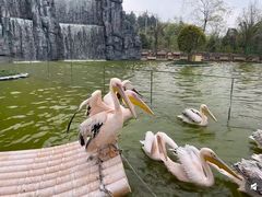 -贵州森林野生动物园
