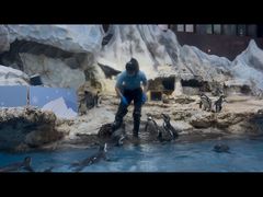 -帝企鹅自助餐厅•儿童岛•真企鹅(长隆企鹅酒店)