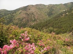 android_upload_pic-木兰云雾山