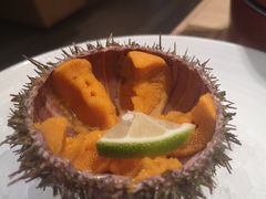 -连鹭海鲜·海肠捞饭·海胆饭(星海店)