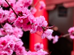 -威高民俗文化邨