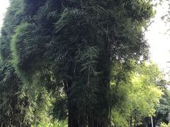 -晓港公园
