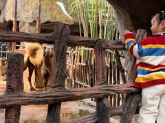 -长鹿旅游休博园