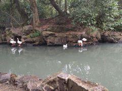 -兰亭风景区