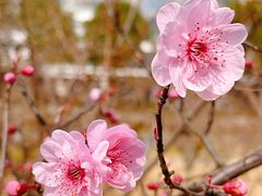 -白塘生态植物园