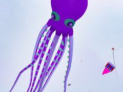 -潍坊滨海云门国际风筝放飞场